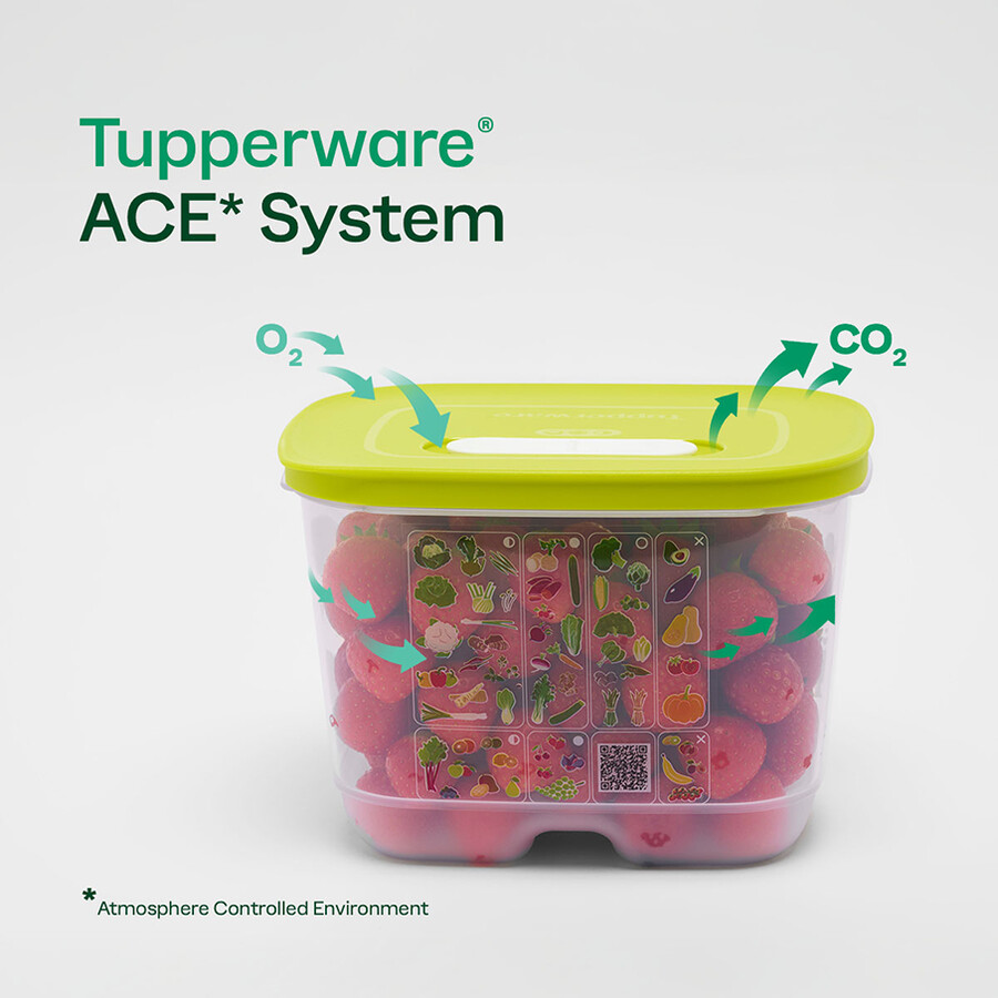 fridgesmart 4-teiliges starterset margarita klein tief wintergrün mittel mitteltief