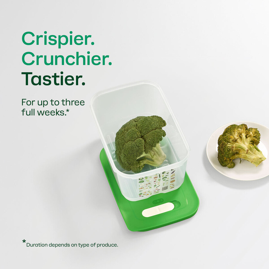fridgesmart 4-teiliges starterset margarita klein tief wintergrün mittel mitteltief