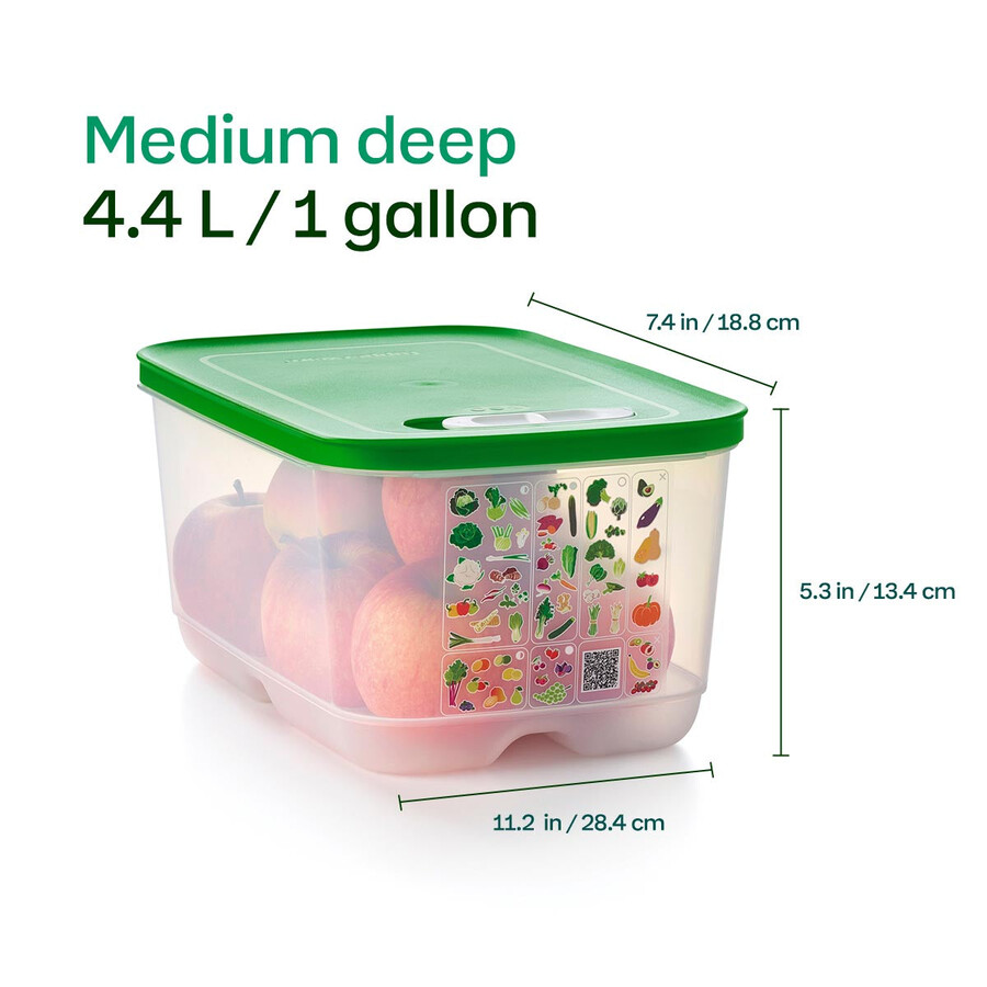 fridgesmart 4-teiliges starterset margarita klein tief wintergrün mittel mitteltief